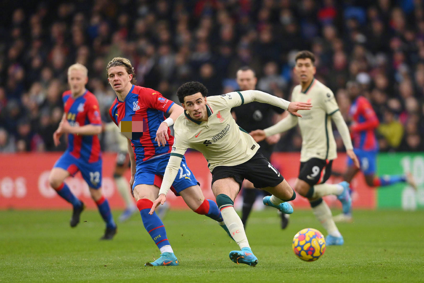 到某种积极 到某种积极