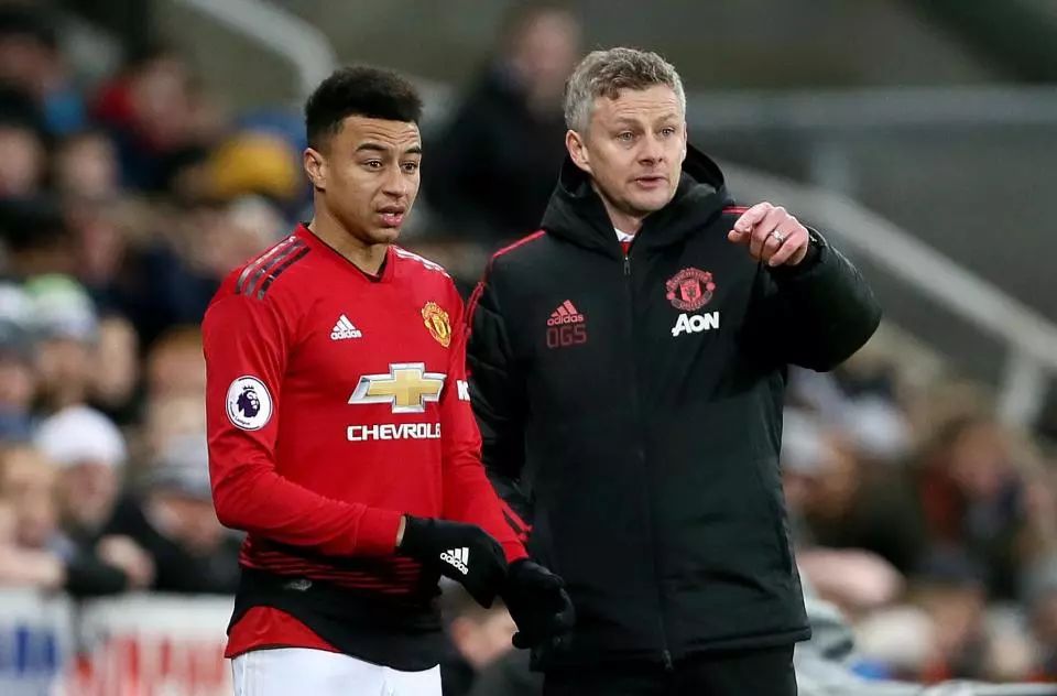 加图索已经 加图索已经